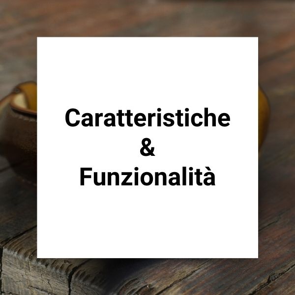 Caratteristiche e funzionalità Festina F20343/2