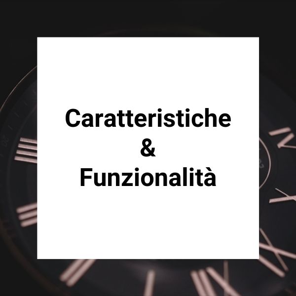 Caratteristiche e funzionalità Festina F16995/1